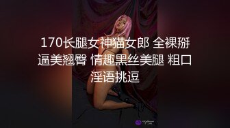 兔小软-视频 6