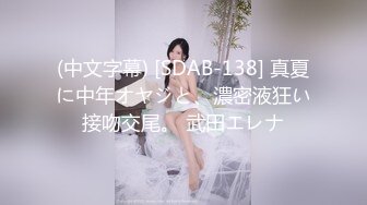 (中文字幕) [SDAB-138] 真夏に中年オヤジと、濃密液狂い接吻交尾。 武田エレナ