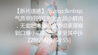 国产麻豆AV MD MD0063 女優面試員 袁庭妮