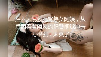 后入大屁股肥臀熟女阿姨，从后面看着阿姨的肥臀视觉冲击力很强，太爽了