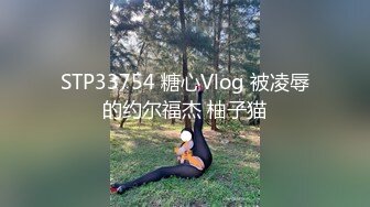 STP33754 糖心Vlog 被凌辱的约尔福杰 柚子猫