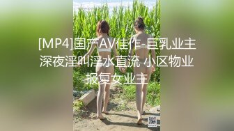 [MP4]国产AV佳作-巨乳业主深夜淫叫淫水直流 小区物业报复女业主