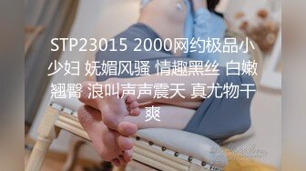 (no_sex)20231120_超级甜的阿喵_212603728