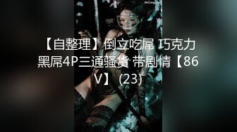 【AI换脸视频】刘亦菲 跟自己的老外造型师的故事[高清无码]