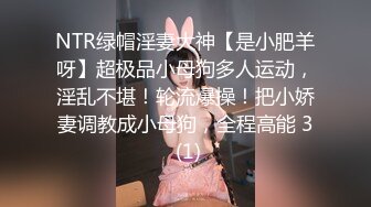 NTR绿帽淫妻大神【是小肥羊呀】超极品小母狗多人运动，淫乱不堪！轮流爆操！把小娇妻调教成小母狗，全程高能 3 (1)