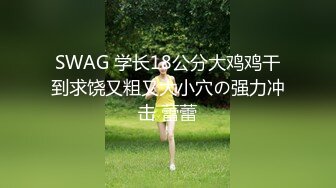 精品绝美尤物性感妖娆身姿 性感女神杨晨晨 典雅韵味的贵妇装束 温柔 美感 妩媚 让人久久难以忘怀