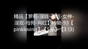 精品【萝莉-淫娃-御姐-女神-淫奴-母狗-网红】特辑-93【pinkloving】【5部】【1 (3)