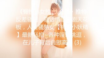 顶级气质顏值模特 Mizukawa 福利合集[140P+95V/2.49G]