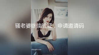 骚老婆继续验证，申请邀请码