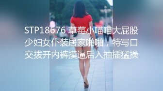 STP18676 草莓小喵喵大屁股少妇女仆装居家啪啪，特写口交拨开内裤摸逼后入抽插猛操