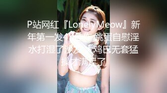 P站网红『LonelyMeow』新年第一发4K佳作 跳蛋自慰淫水打湿了沙发 大鸡巴无套猛操才满足了