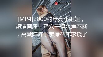 乐橙绿叶酒店上帝视角欣赏饭店一起打工的小年轻休息时间出来约炮美女奶子好大娇喘骚叫体位多站位猛干