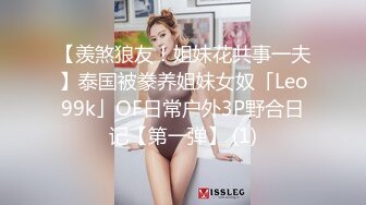 布丁大法 爱心女仆