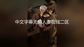 中文字幕无码人妻在线二区