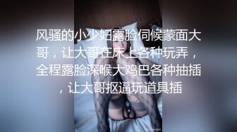 老婆的海豚裤