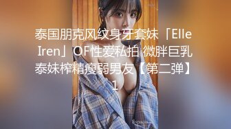 泰国朋克风纹身牙套妹「Elle Iren」OF性爱私拍 微胖巨乳泰妹榨精瘦弱男友【第二弹】1