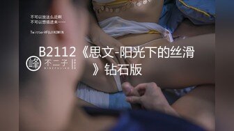 B2112《思文-阳光下的丝滑》钻石版