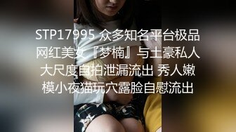 STP17995 众多知名平台极品网红美女『梦楠』与土豪私人大尺度自拍泄漏流出 秀人嫩模小夜猫玩穴露脸自慰流出