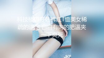 商场女厕蹲守珠宝店的黑丝高跟美女3肥美的黑鲍鱼 (2)