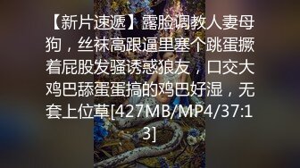 【新片速遞】露脸调教人妻母狗，丝袜高跟逼里塞个跳蛋撅着屁股发骚诱惑狼友，口交大鸡巴舔蛋蛋搞的鸡巴好湿，无套上位草[427MB/MP4/37:13]