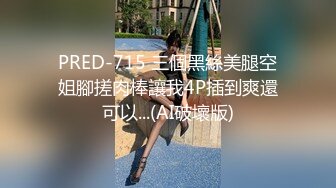 PRED-715 三個黑絲美腿空姐腳搓肉棒讓我4P插到爽還可以...(AI破壞版)