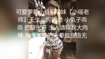 性感的黑丝美女