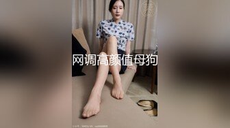 网调高颜值母狗