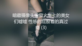 河豚抚子写真图包4套