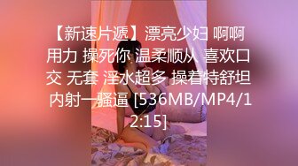 女教师搭上痴汉电车