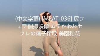 これぞ！という巨乳の娘に街で声をかけてとにかくSEXする动画(2)