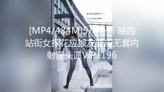 [MP4/484M]5/8最新 陕西站街女探花应狼友要求无套内射馒头逼VIP1196