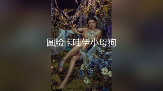 【AI换脸视频】陈都灵 性感热舞直播 2