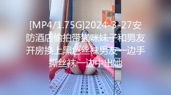 [MP4/1.75G]2024-3-27安防酒店偷拍带猫咪妹子和男友开房换上黑色丝袜男友一边手撕丝袜一边中出她