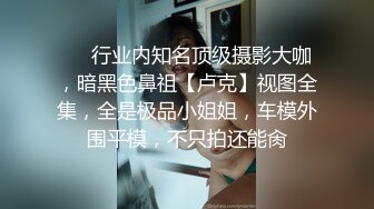 ❤️行业内知名顶级摄影大咖，暗黑色鼻祖【卢克】视图全集，全是极品小姐姐，车模外围平模，不只拍还能肏