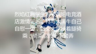 高级注册会计师老婆的发情日常